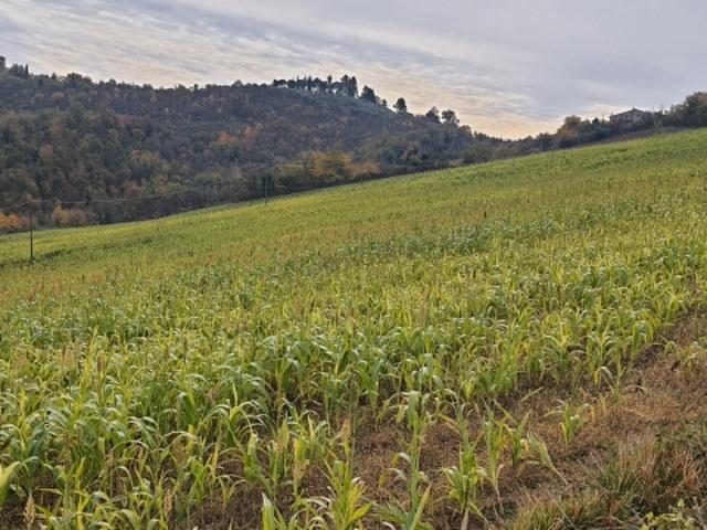 Terreno in vendita a Trevi, Umbria