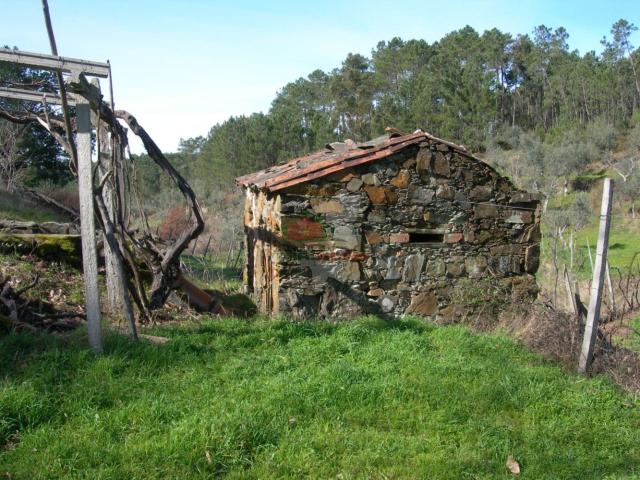 Terreno venda em Castelo Branco, Cumeada