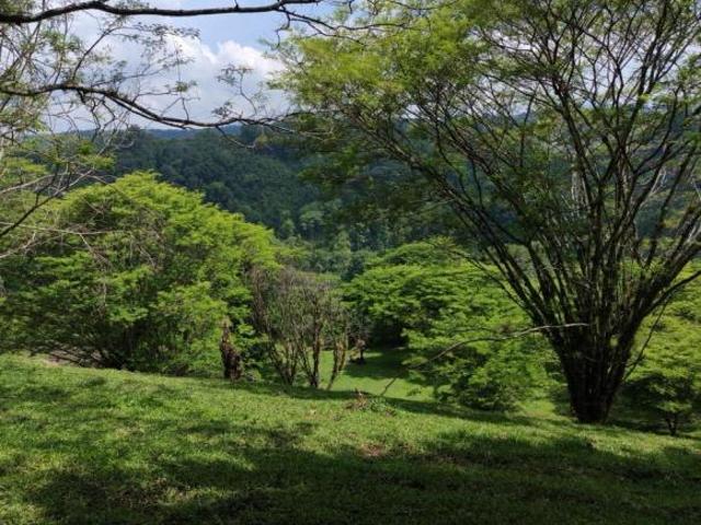 Terreno en venta en Xico, Veracruz