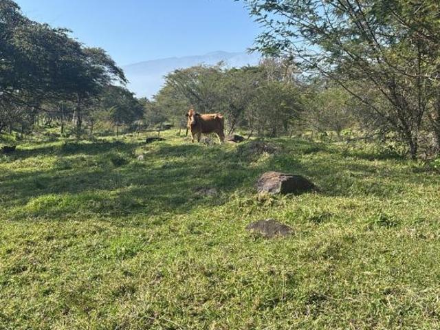 Terreno en venta en Xico, Veracruz