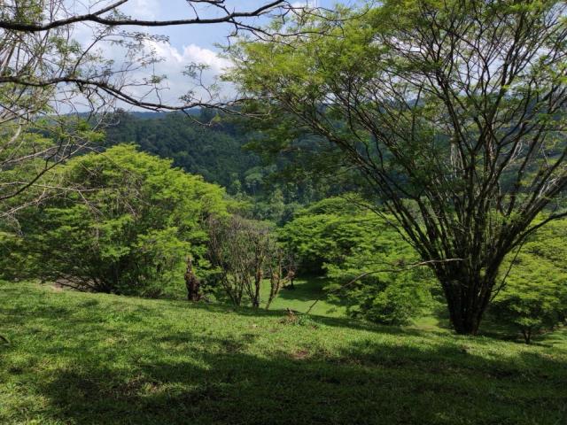 Terreno en venta en Xico, Veracruz