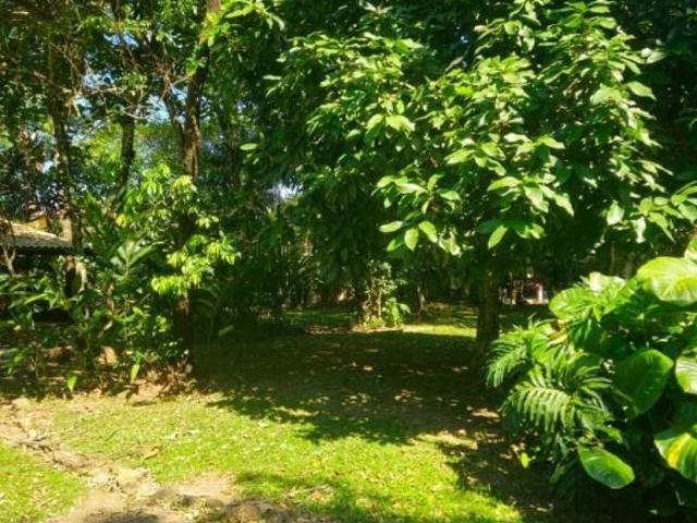 Terreno venda em Cocaia, Ilhabela