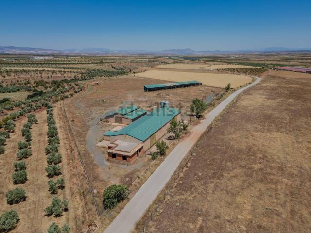 Terreno en venta en Comarca de Guadix, Andalucía
