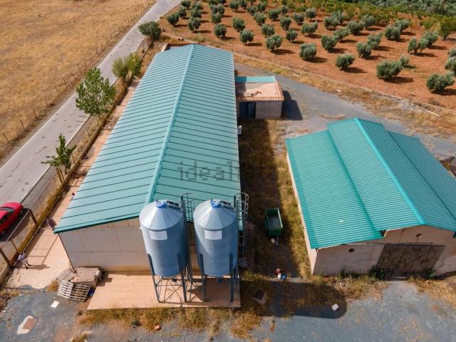 Terreno en venta en Cogollos de Guadix, Granada