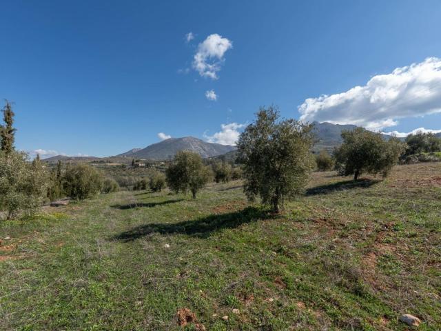 Terreno en venta en Comarca de la Vega de Granada, Andalucía