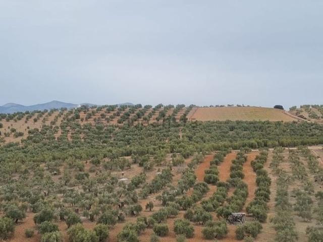 Terreno en venta en Comarca de la Vega de Granada, Andalucía