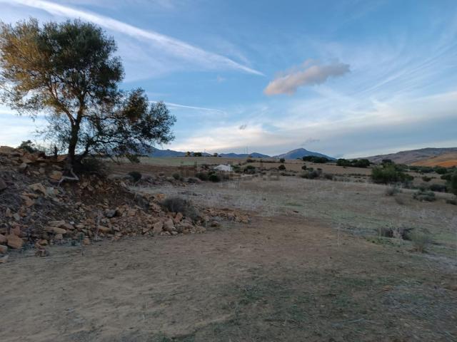 Terreno en venta en El Rodeo, Valle del Guadalhorce