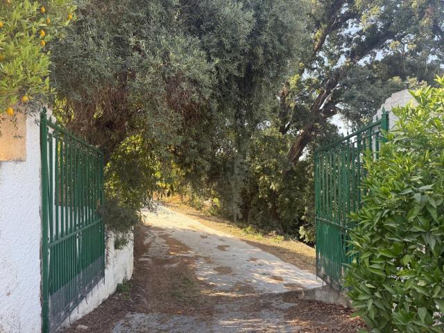 Terreno en venta en El Rodeo, Valle del Guadalhorce