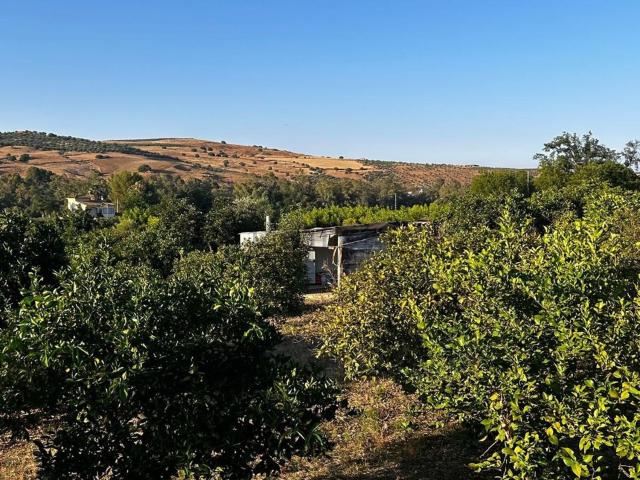 Terreno en venta en Valle del Guadalhorce, Andalucía
