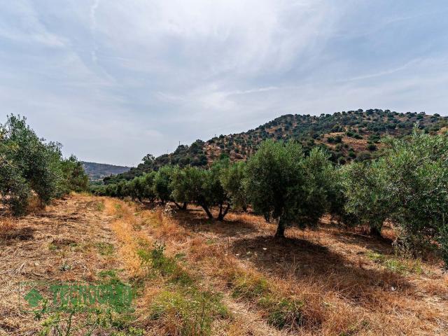 Terreno en venta en Miravalle Los Montecillos, Valle del Guadalhorce