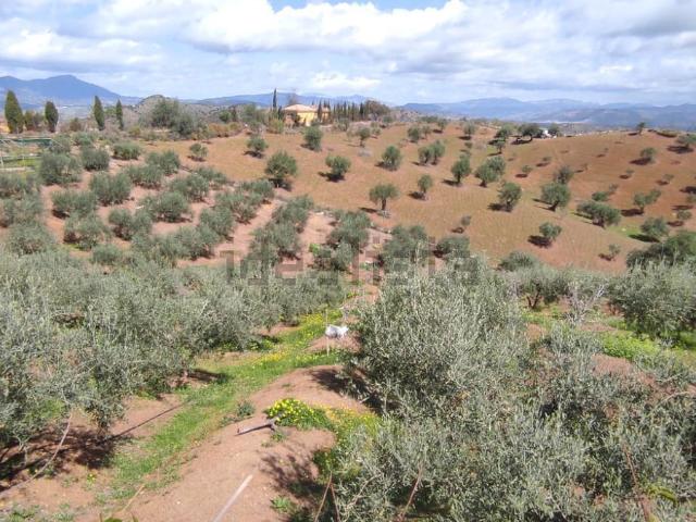 Terreno en venta en El Rodeo, Valle del Guadalhorce