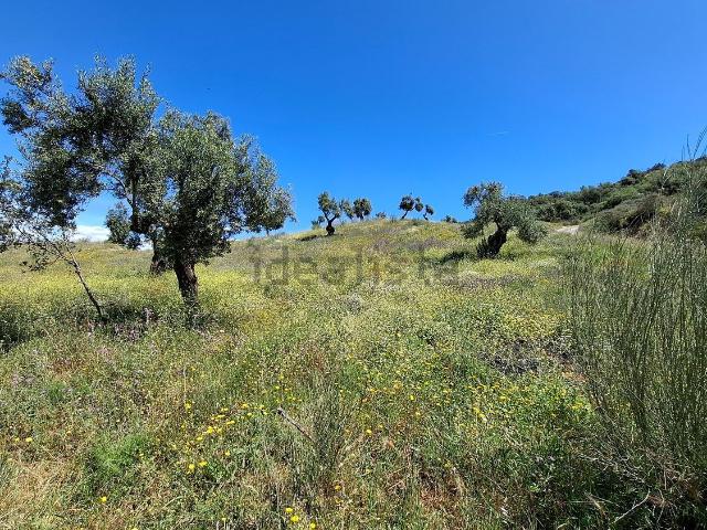 Terreno en venta en Sierra de las Nieves, Andalucía