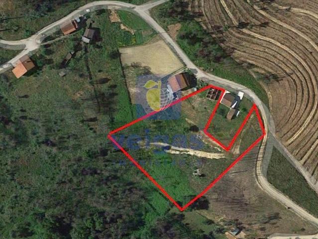 Terreno venda em Arganil, Coja