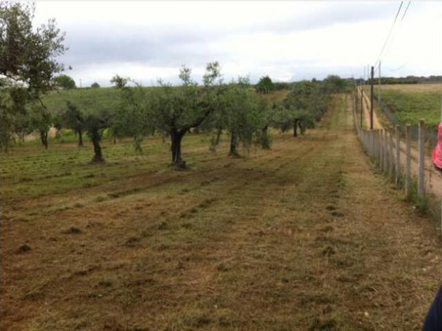 Terreno in vendita a Cisterna Di Latina, Lazio