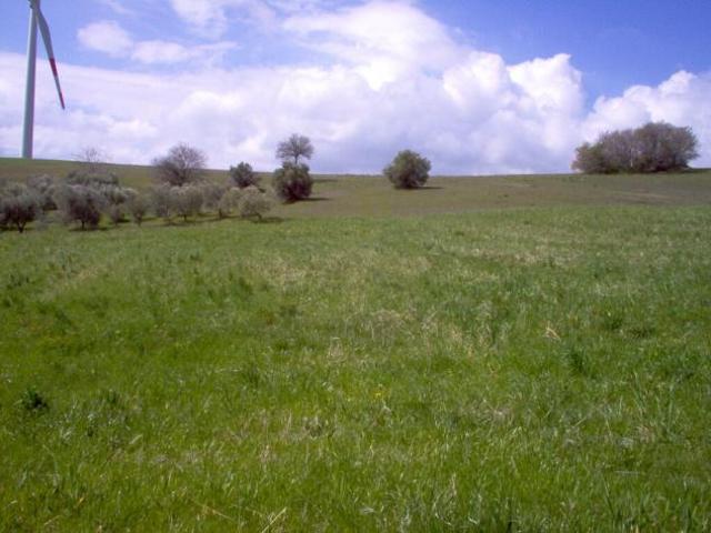 Terreno in vendita a San Giovanni In Galdo, Molise