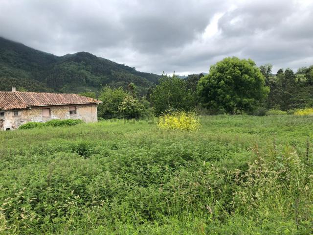 Terreno en venta en Gobiendes, Colunga