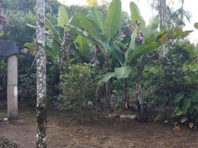 Terreno venda em Vila Santo Antônio, Morretes