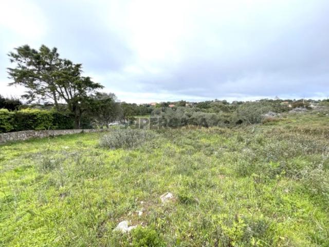 Terreno venda em Sesimbra (Castelo), Sesimbra