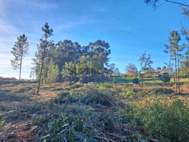 Terreno venda em Esposende, Braga