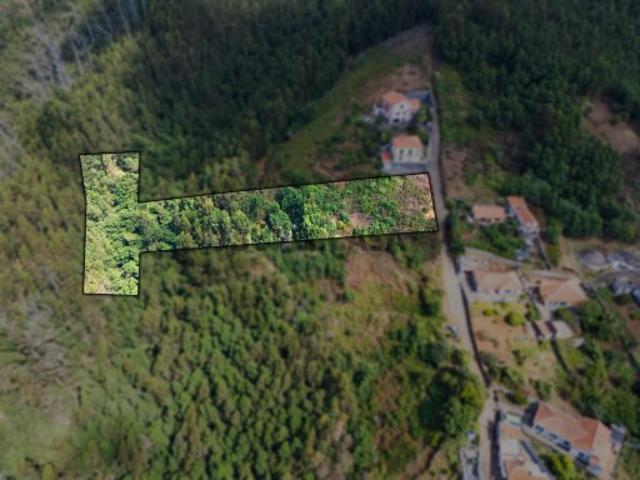 Terreno venda em Terreiro da Luta, Funchal