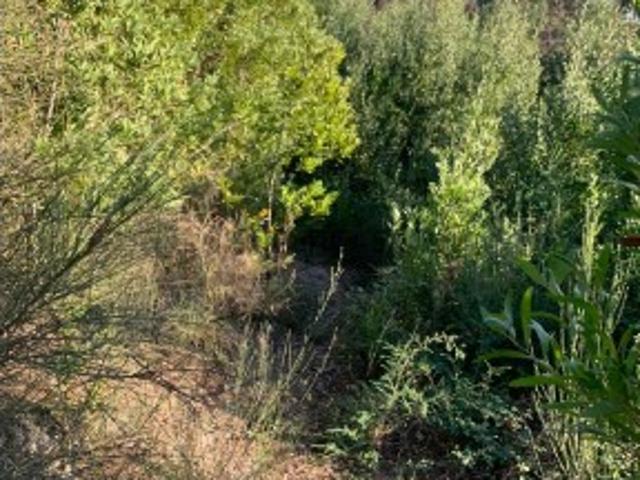 Terreno venda em Marecos, Porto
