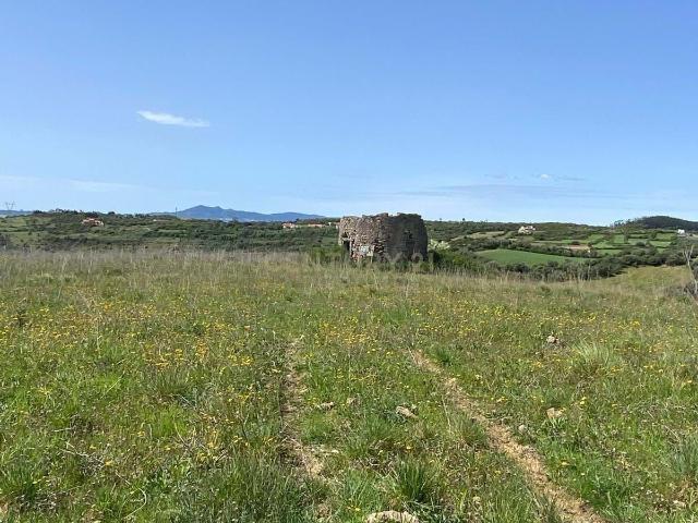 Terreno venda em Mafra, Lisboa