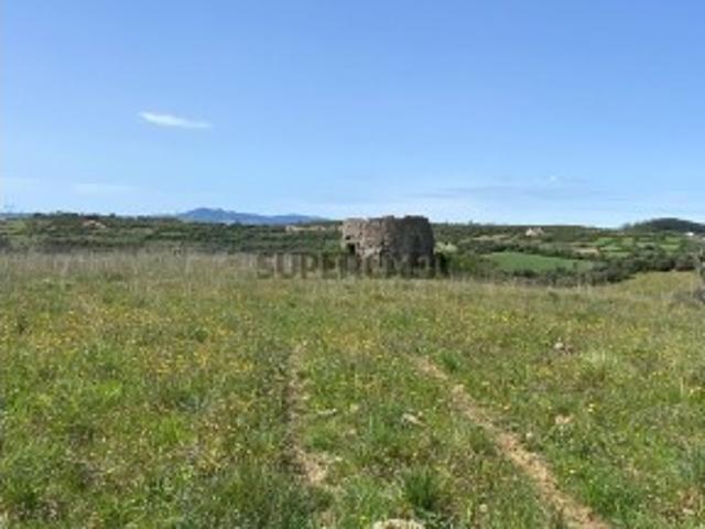 Terreno venda em Mafra, Lisboa