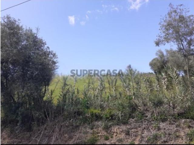 Terreno venda em Alenquer, Lisboa