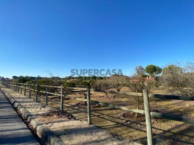 Terreno venda em Benavente, Santarém