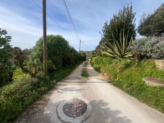 Terreno venda em Alcobaça, Leiria