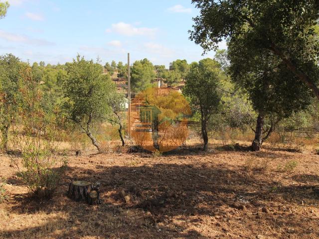 Loja venda em Castro Marim, Faro