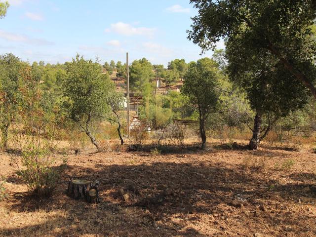 Loja venda em Castro Marim, Faro