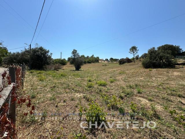 Terreno venda em Madalena e Beselga, Tomar