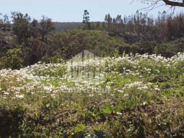 Terreno venda em Vale Porquinha, Odemira