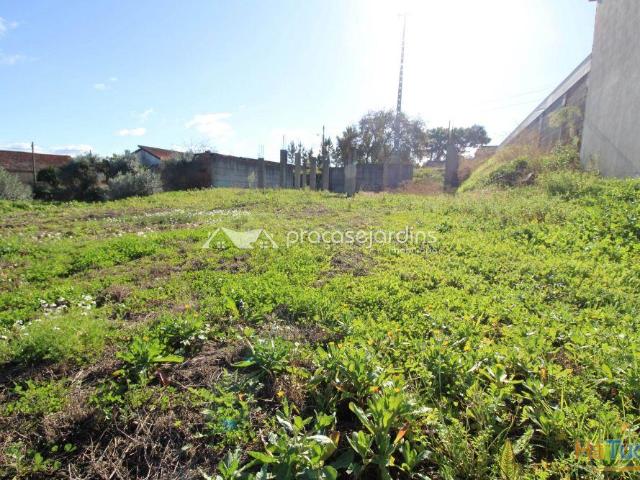 Terreno venda em Leiria