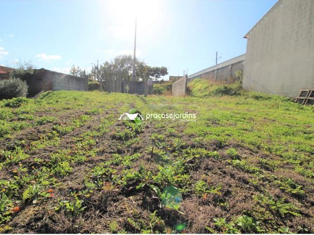 Terreno venda em Pombal, Redinha