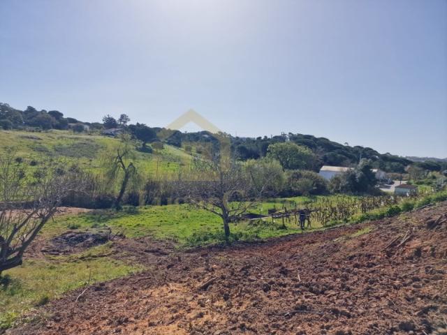 Terreno venda em Sesimbra (Castelo), Sesimbra