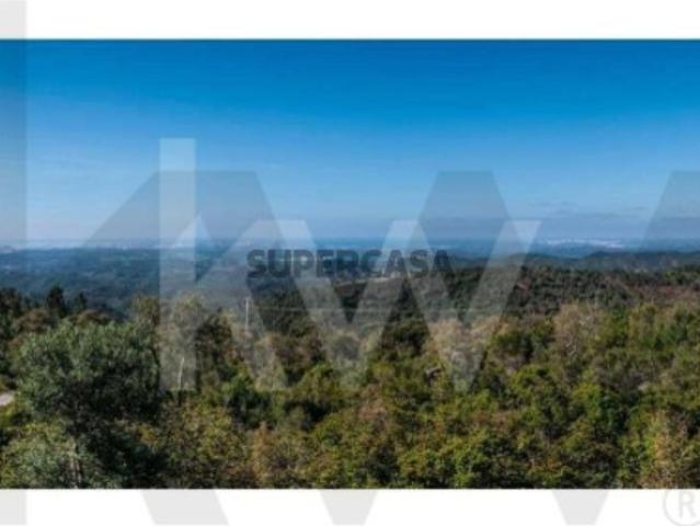 Terreno venda em Caldas de Monchique, Monchique