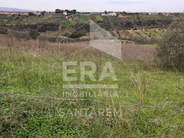 Terreno venda em Santarém