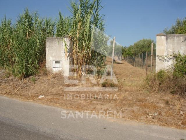 Terreno venda em Santarém