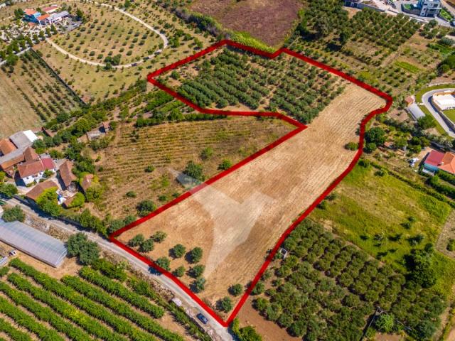 Terreno venda em Batalha, Golpilheira