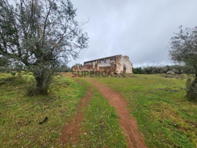 Terreno venda em Borba (Matriz), Borba