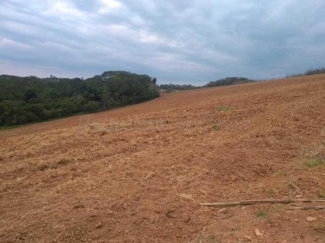 Terreno venda em Região Imediata de Sorocaba, Região Metropolitana de Sorocaba