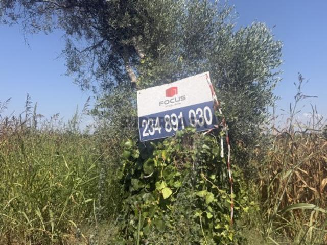 Terreno venda em Ponte De Vagos, Aveiro
