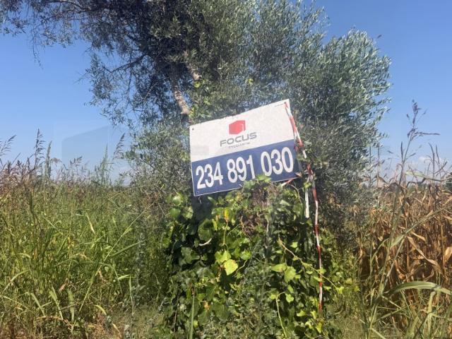 Terreno venda em Ponte De Vagos, Aveiro