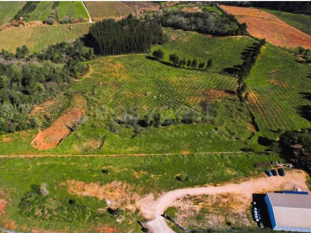 Terreno venda em Alcobaça, Leiria