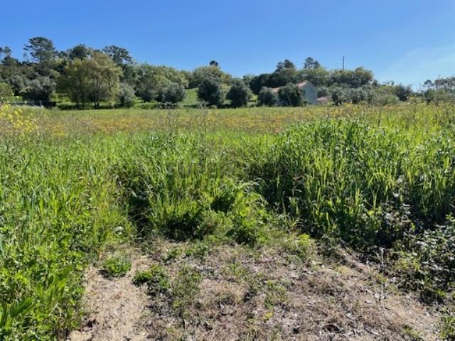 Terreno venda em Tomar, Santarém
