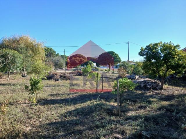 Terreno venda em Reguengo Grande, Lourinhã