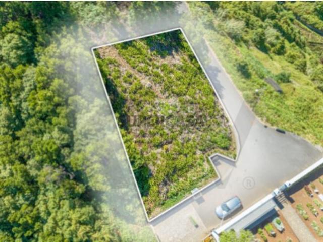 Terreno venda em São Vicente, Ilha Da Madeira