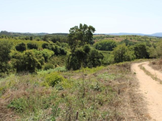 Terreno venda em Cadaval, Vermelha
